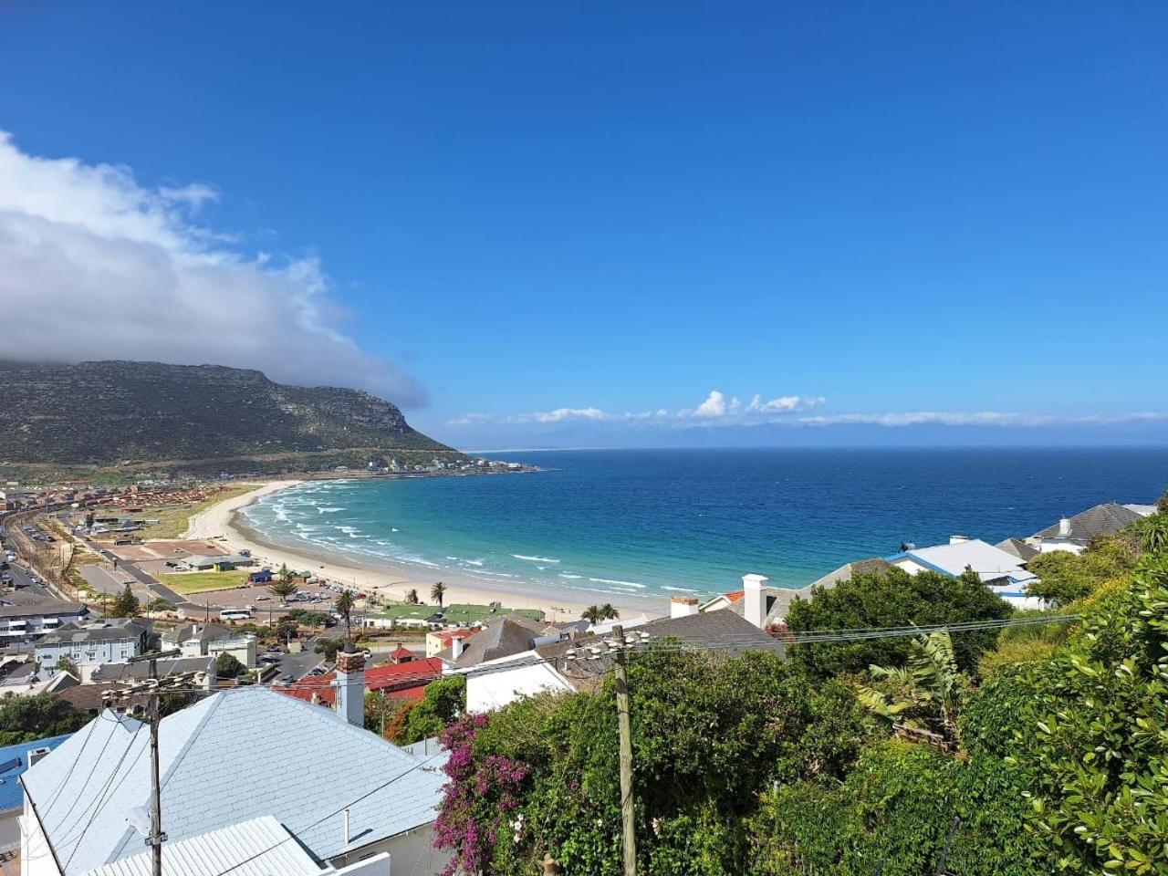 Watching Waves, Heron Chase Fish Hoek Extérieur photo
